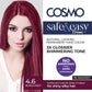 NO AMMONIA PERMANENT HAIR COLOR 4.6 BURGUNDY