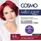 NO AMMONIA PERMANENT HAIR COLOR 6.6 PLUM RED